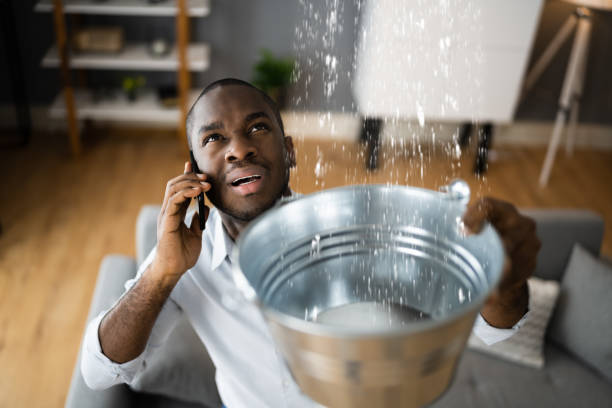 Professional Water damage restoration in Willard, OH