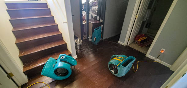 Best Flood restoration services  in Willard, OH
