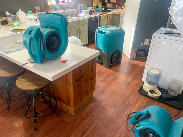 Best Ceiling water damage repair  in Willard, OH