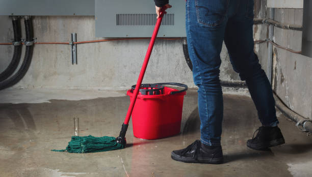 Sewage cleanup and water damage restoration in Willard, OH