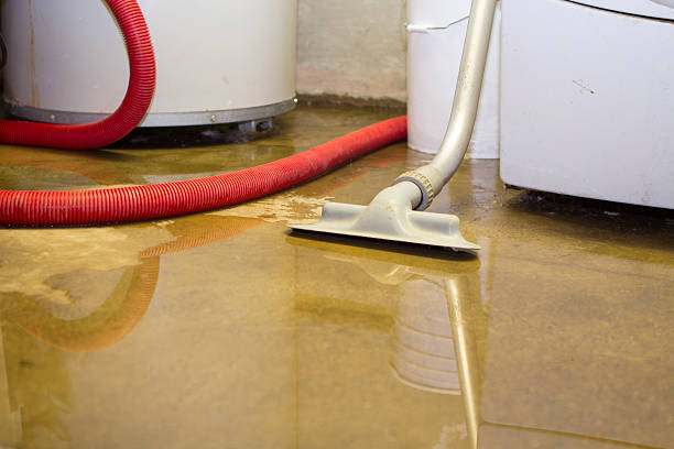 Best 24-hour water damage restoration  in Willard, OH