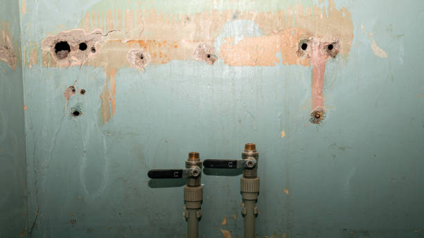 Best Basement water damage restoration  in Willard, OH