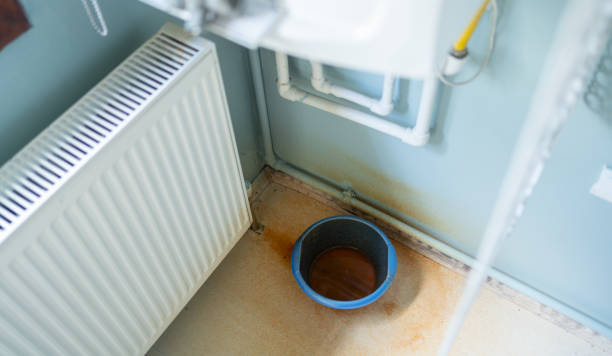 Best Water damage restoration near me  in Willard, OH