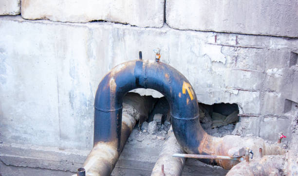Best Water damage restoration near me  in Willard, OH
