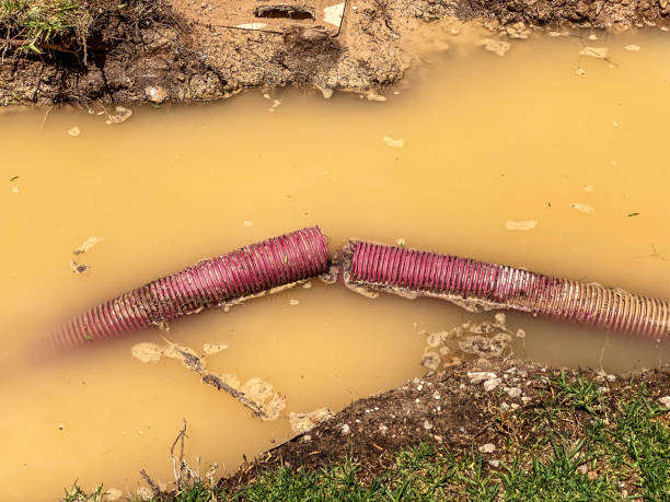 Best Emergency water damage restoration  in Willard, OH