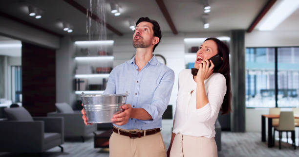 Best Water damage cleanup near me  in Willard, OH