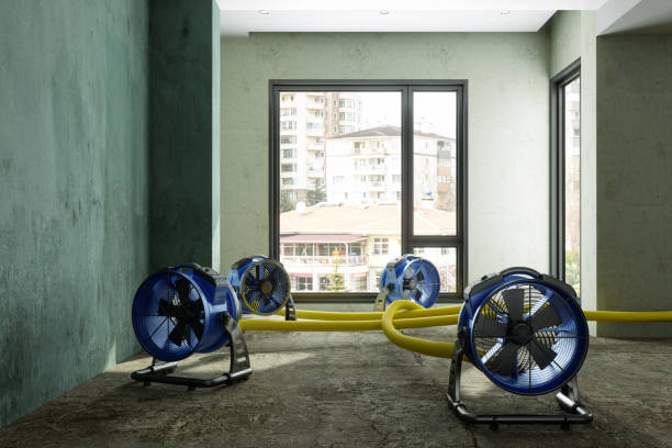 Best Water damage restoration near me  in Willard, OH